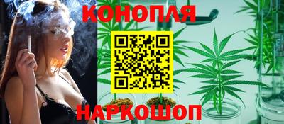 spice Мариинск