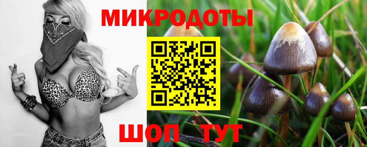 Дзержинск  Псилоцибиновые грибы Cubensis  Вход с VPN 