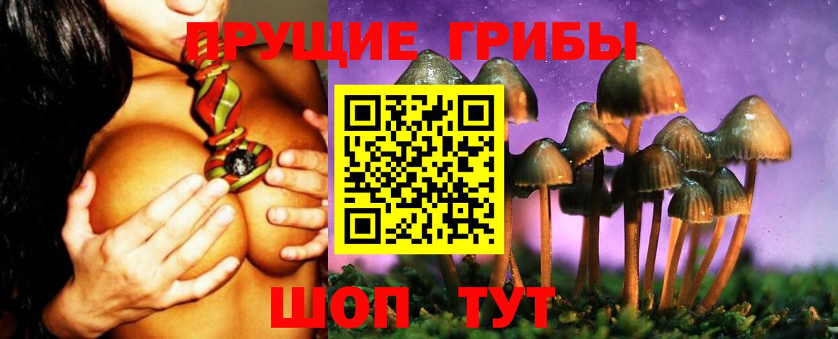 Галлюциногенные грибы мицелий Дзержинск